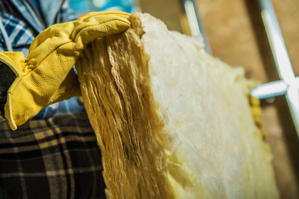 Best Cellulose Insulation in Masonville, KY