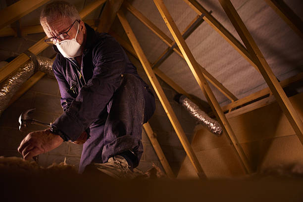 Best DIY Insulation Kits and Guidance in Masonville, KY